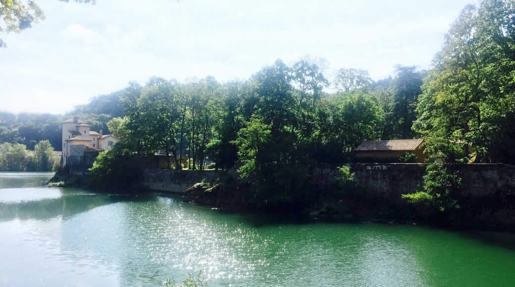 Jogging en bordure de la SaĂŽne