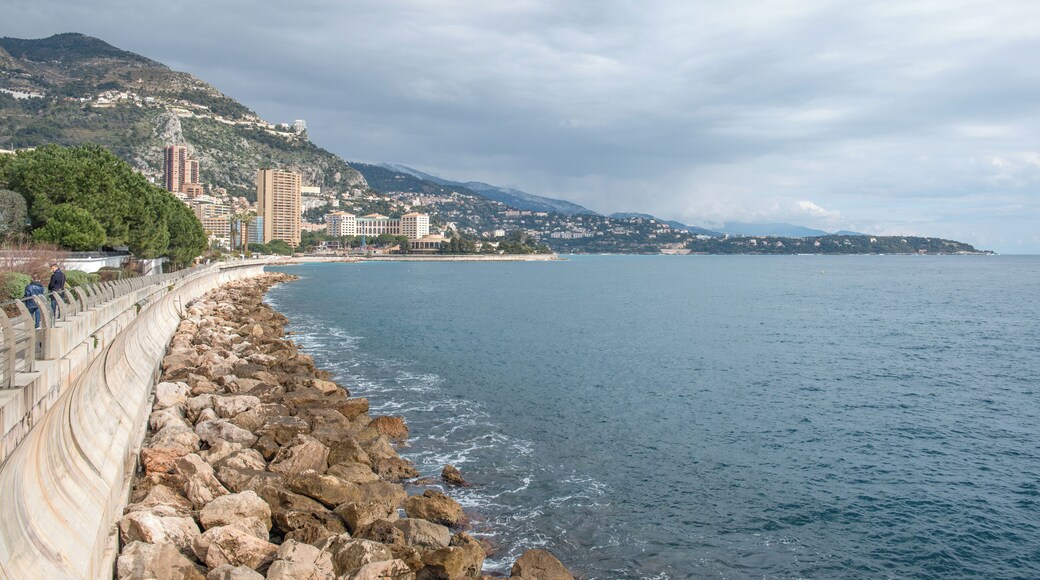 Monte Carlo Monaco February 2013