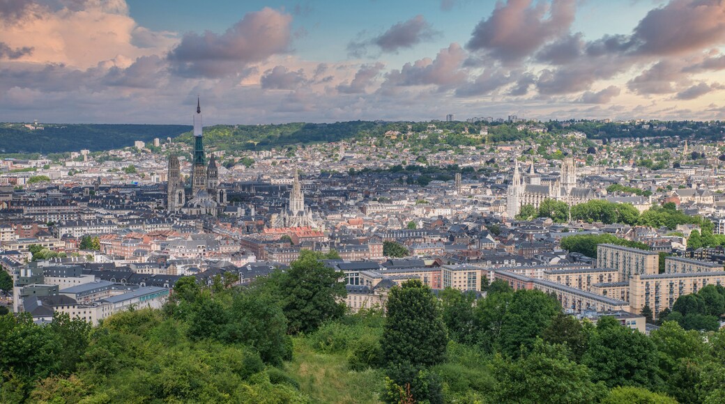View on Rouen, the beautiful city of Normandy in France with the famous cathedral