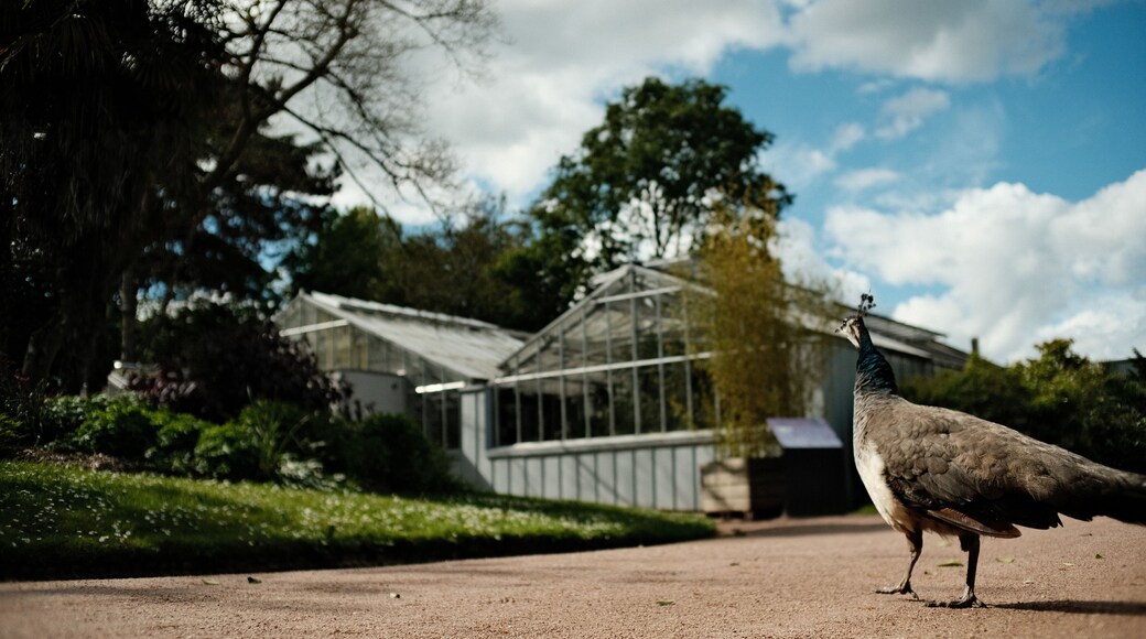 Quartier Saint-Clément - Jardin des Plantes