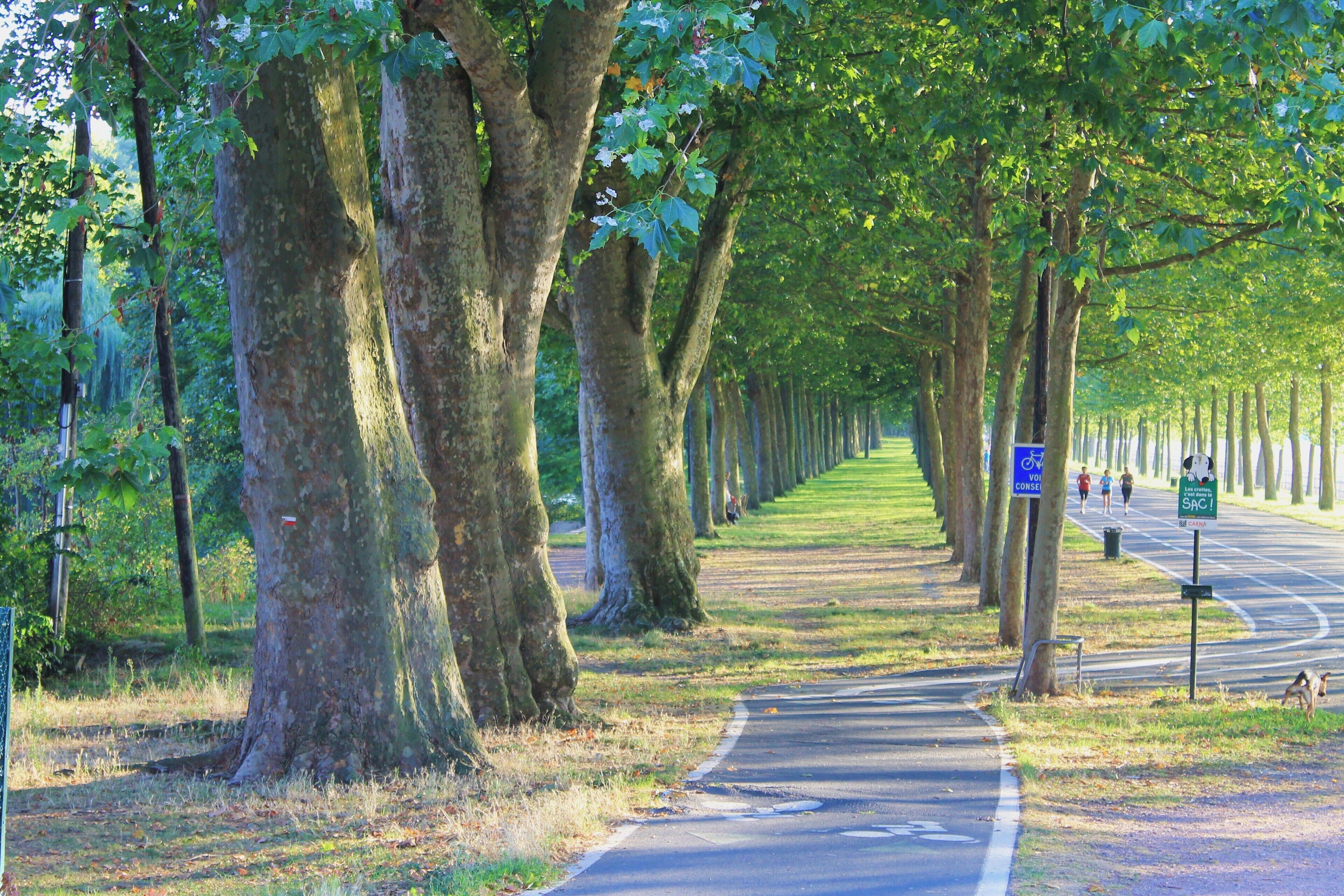 Cours Général Kœnig à Caen (Calvados)