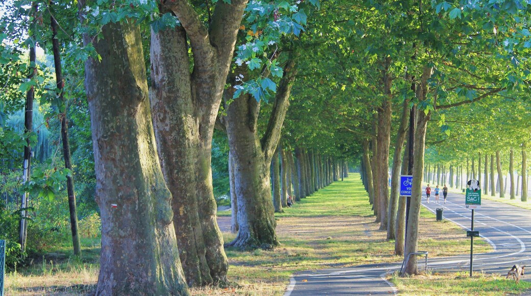 Cours Général Kœnig à Caen (Calvados)
