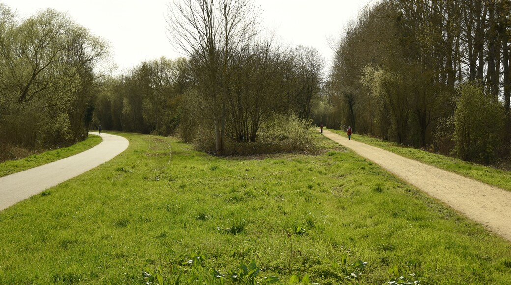 Ancienne bifurcation des lignes de Caen vers Vire et Flers