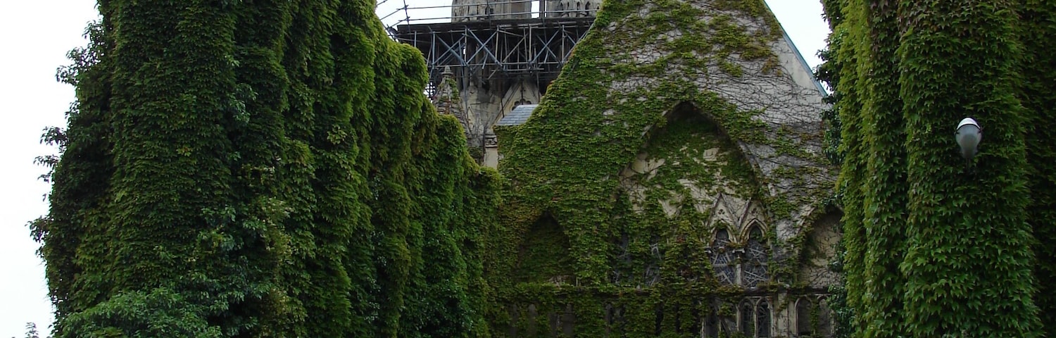 Chapelle de la Miséricorde, anciennement église des Cordeliers, Caen, Lower Normandy, France