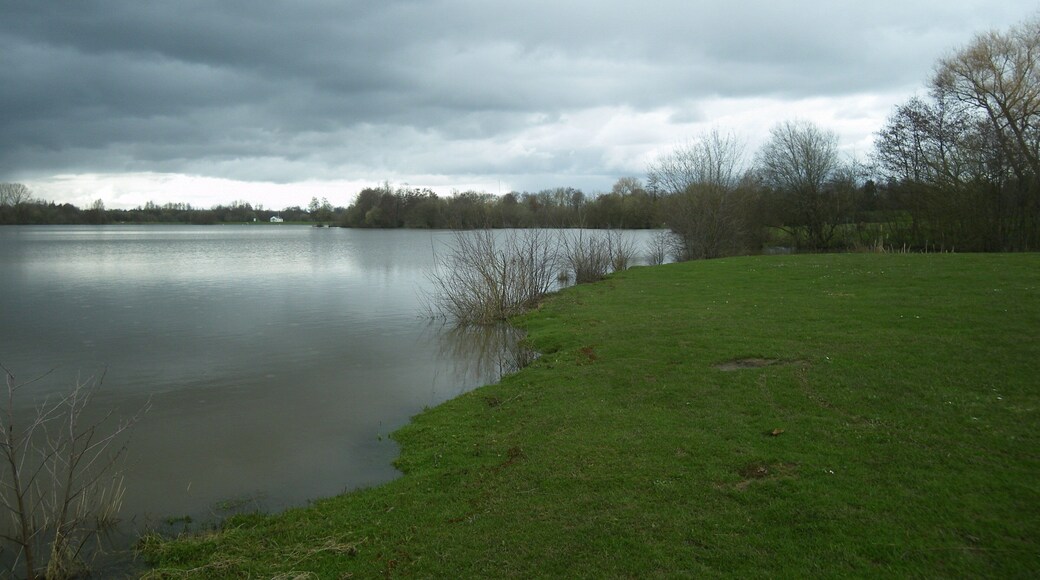 l'etang d'apigné