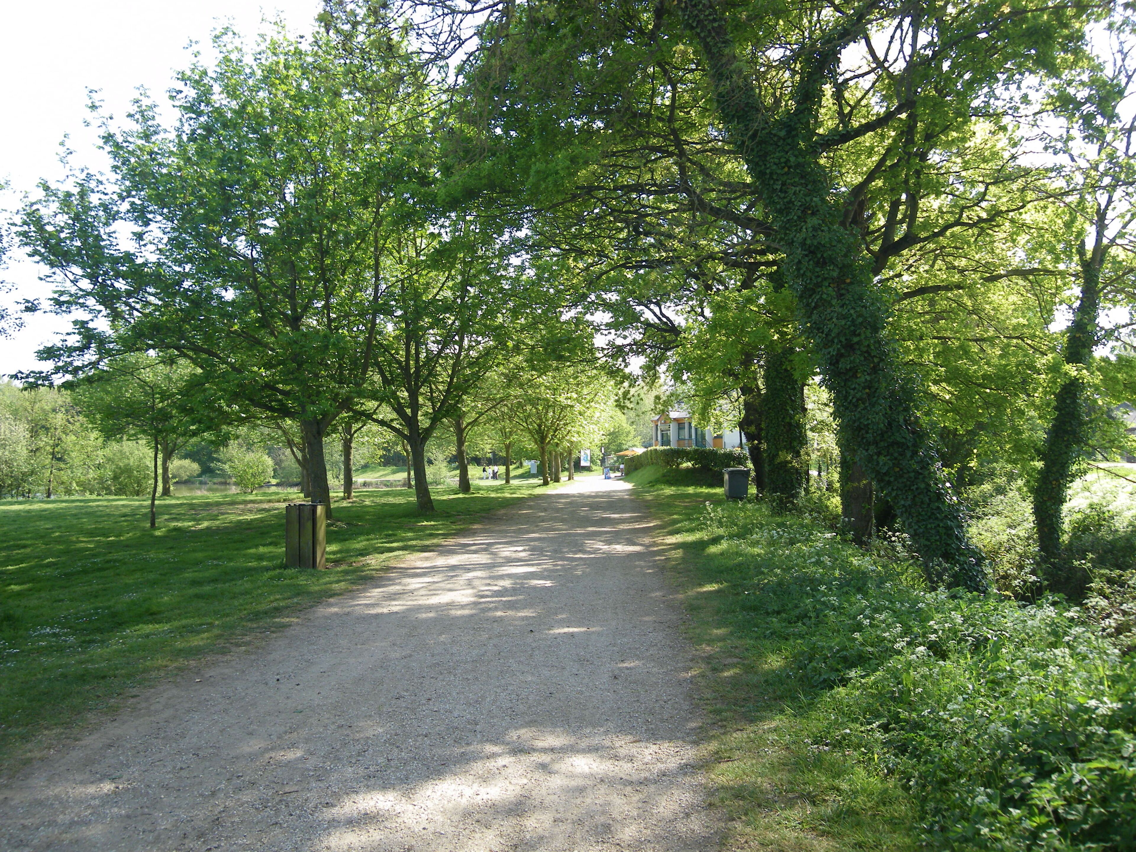 les abords de l'etang d 'apigné