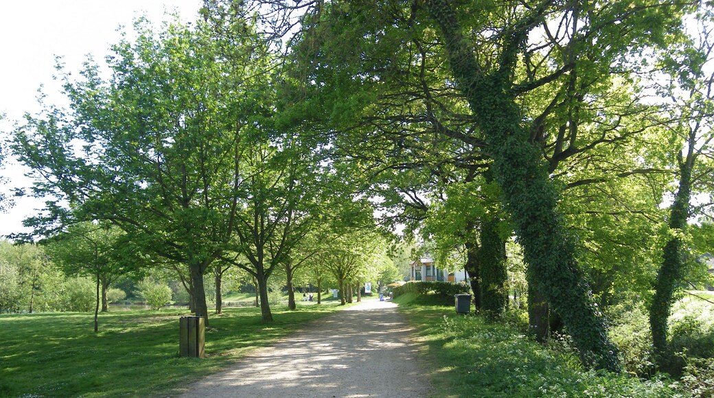 les abords de l'etang d 'apigné