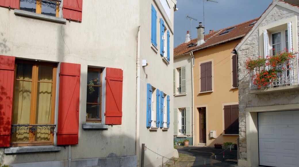 Ville de Champigny-sur-Marne, ruelle colorée du centre ville, volets rouges et bleus, façade fleurie, département du Val-de-Marne, France