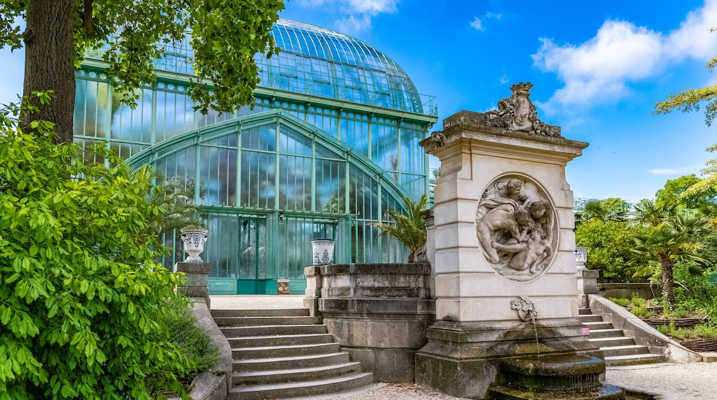 Auteuil