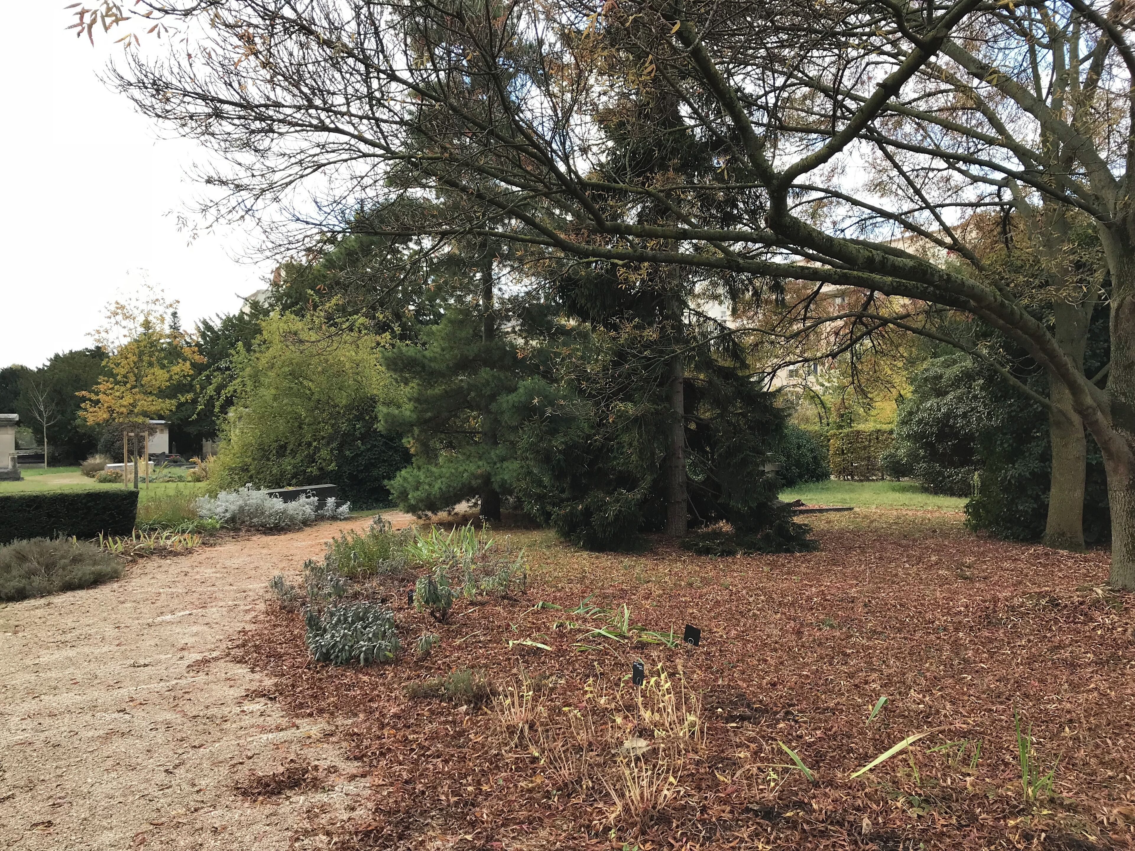 Ancien cimetière de Courbevoie (Hauts-de-Seine, France).