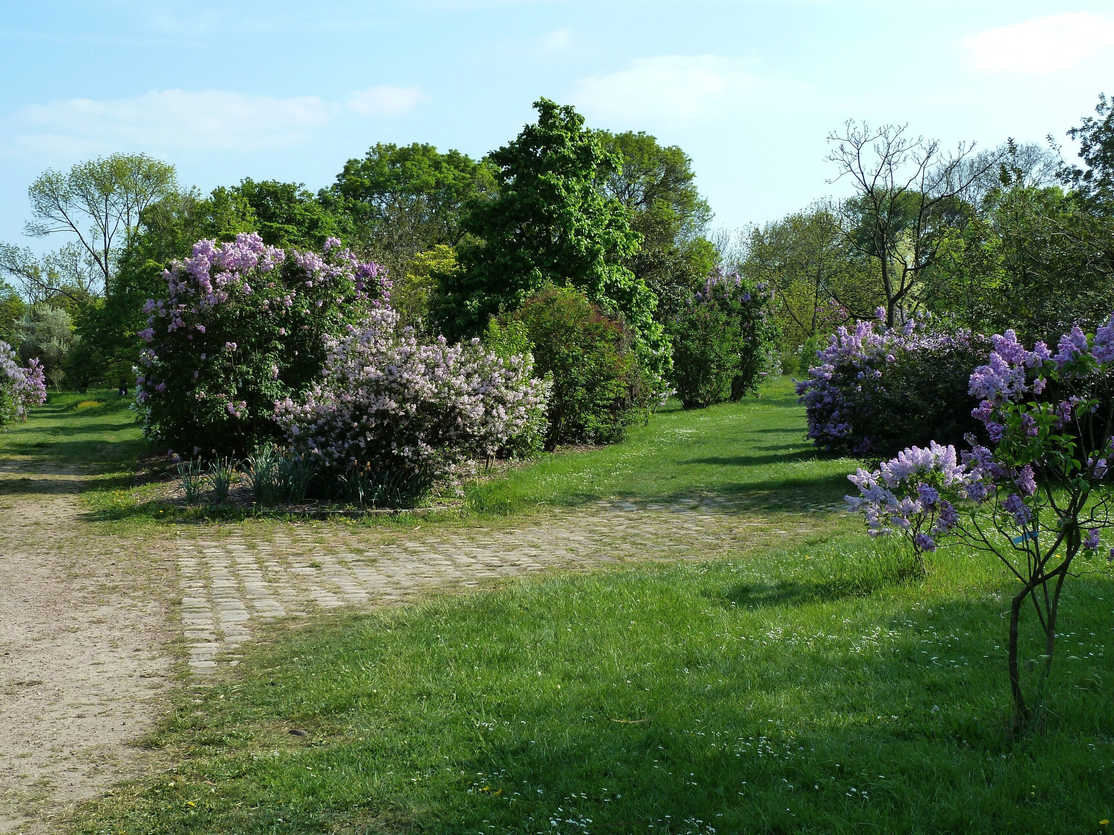 Arboretum de l'école du Breuil (Paris, France)