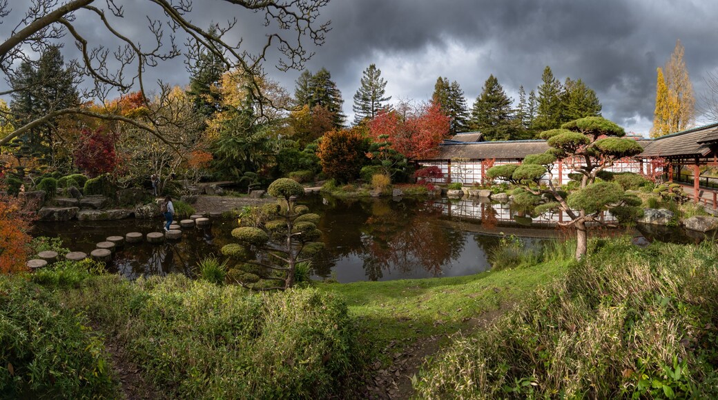Jardin japonais de l'île de Versailles à Nantes