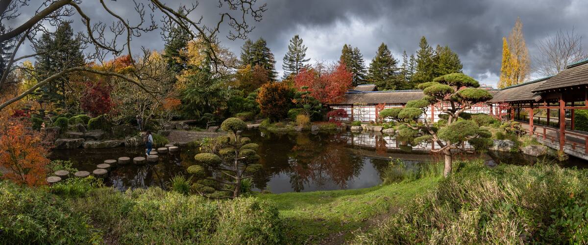 Jardin japonais de l'île de Versailles à Nantes