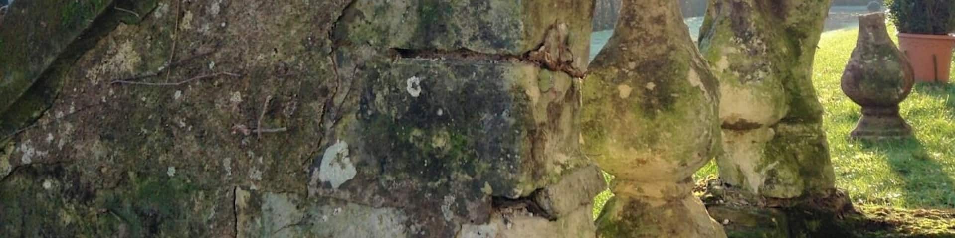 Illustrations du travail des tailleurs de pierre: balustres du perron du jardin à la française.