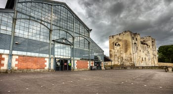centre ville de Niort