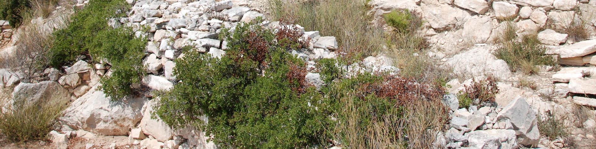Oppidum de verduron, 15eme arrondissement de marseille