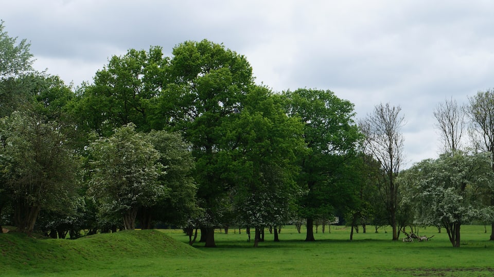 dans la réserve naturelle régionale du Héron (Zone -Est.-limitrophe à Forest-sur-Marque).- Parc du Héron à Villeneuve-d'Ascq