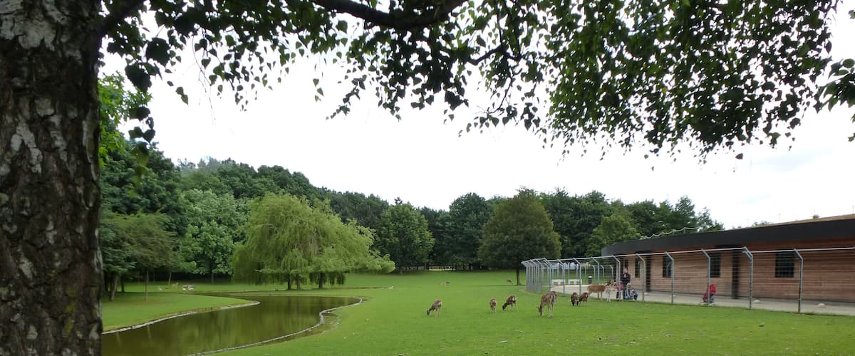 le parc des gayeulles