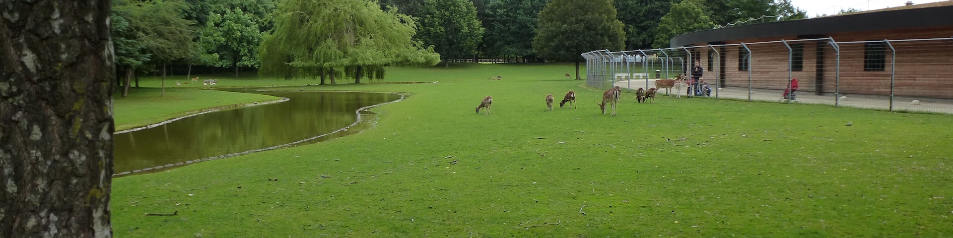le parc des gayeulles