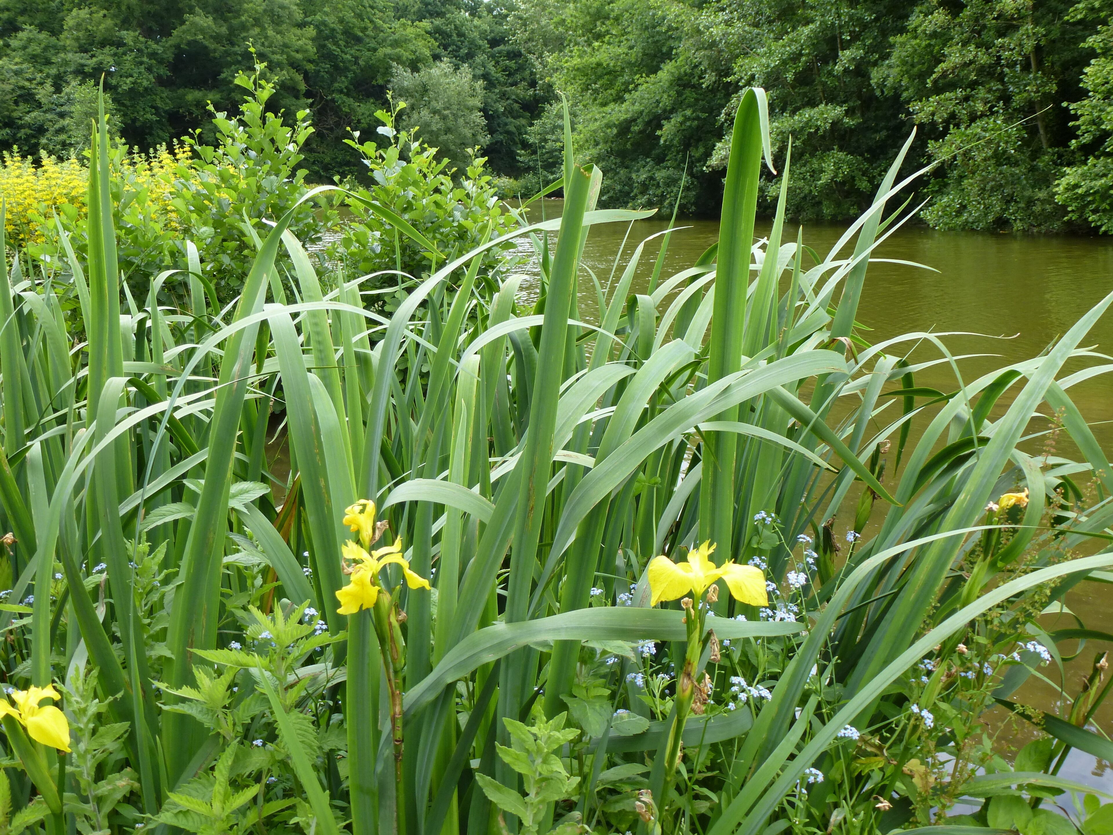 le parc des gayeulles