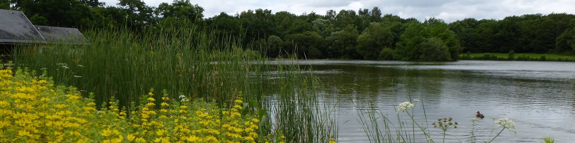 le parc des gayeulles