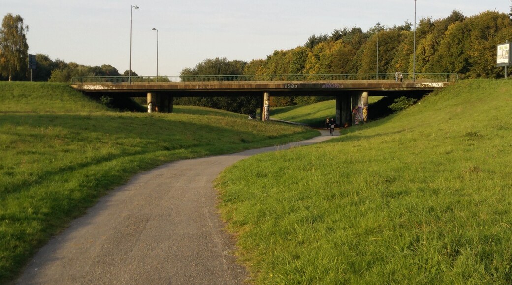 Vue du passage souterrain (face Sud), prévu pour construire une route en 2x2 voies. La moitié de ce vestige sert aujourd'hui de piste cyclable et piétonne.