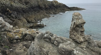 They know everything about the sea.... #Brittany #lovetravelaround