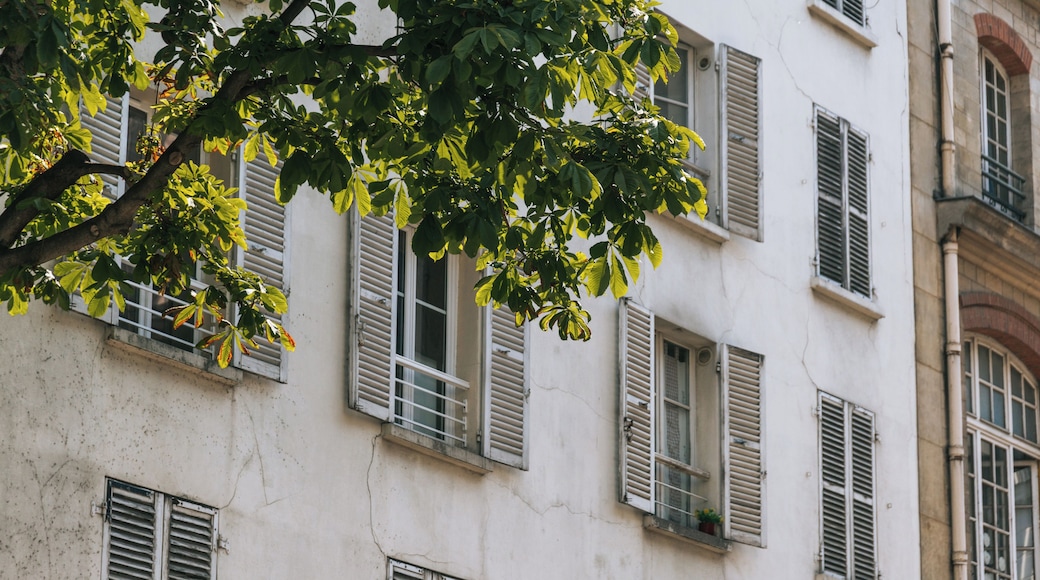 A building with multiple windows, some with shutters, and a tree with green leaves in the foreground.