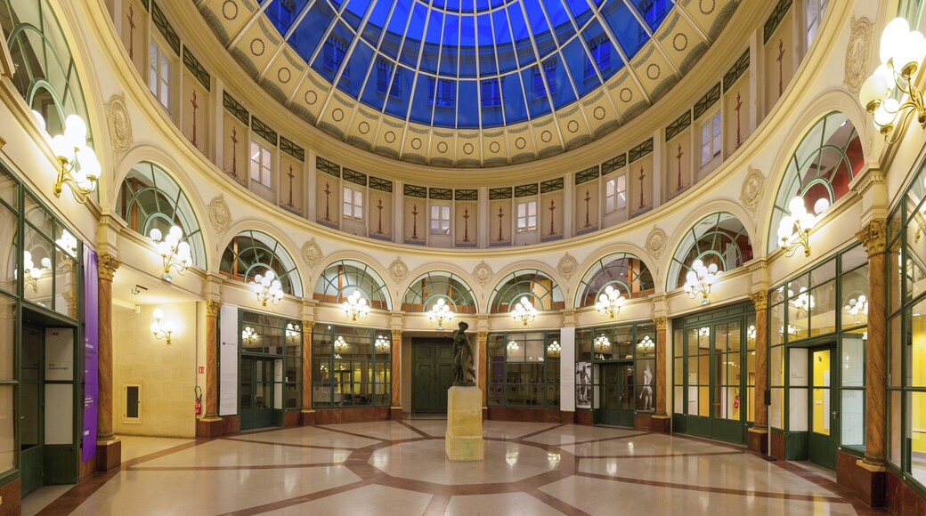 Rotunda of the Galerie Colbert (Colbert Galleria), Paris, 2nd arrondissement. Built in 1826 as a rival to the adjacent and then very popular Vivienne covered passage, it never was as succesful and was almost abandoned until renovation in the 1980s. Bought by French National Library, the galerie is now home to INHA (Institut National de l'Histoire des Arts, Art History National Institute) and INP (Institut National du Patrimoine, Heritage National Institute).