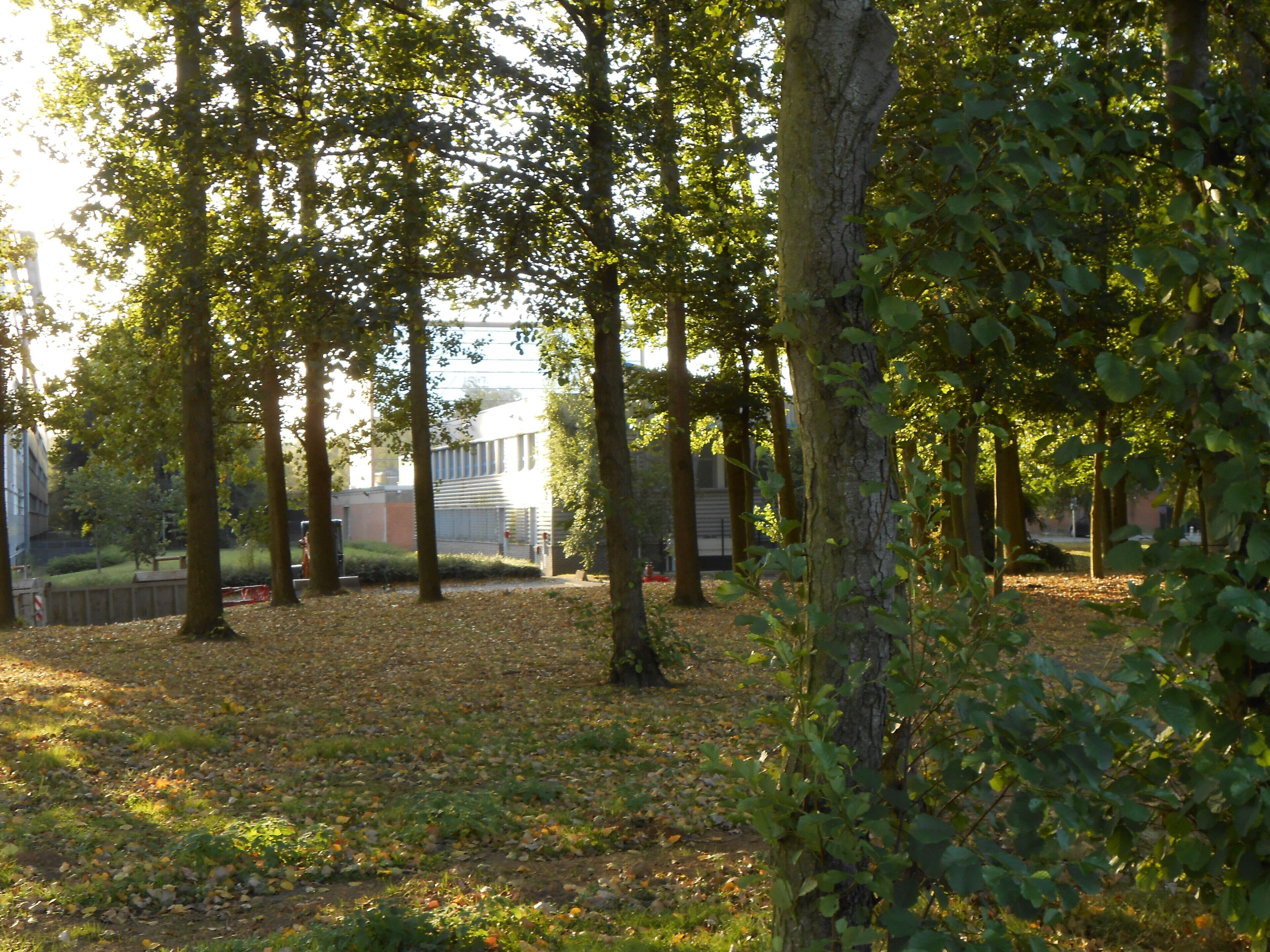 École centrale de Lille- laboratoire de sciences des matériaux et pole fonderie
