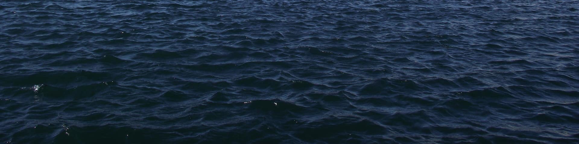 Belsunce | Quai de la Fraternité Panoramic view of the Old Port of Marseille from Quai de la Fraternité.