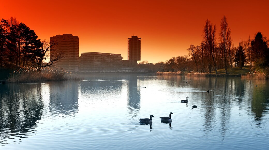 Lake and City hall of Creteil in Val de Marne