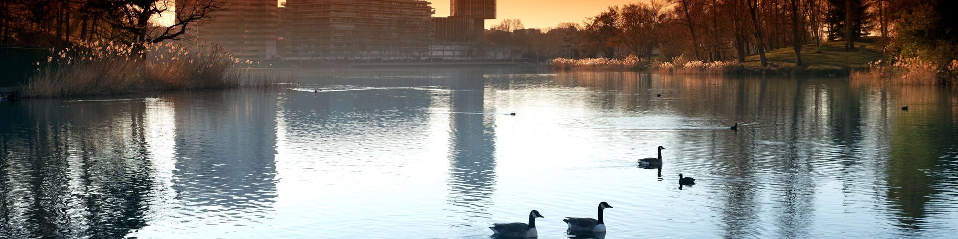 Lake and City hall of Creteil in Val de Marne