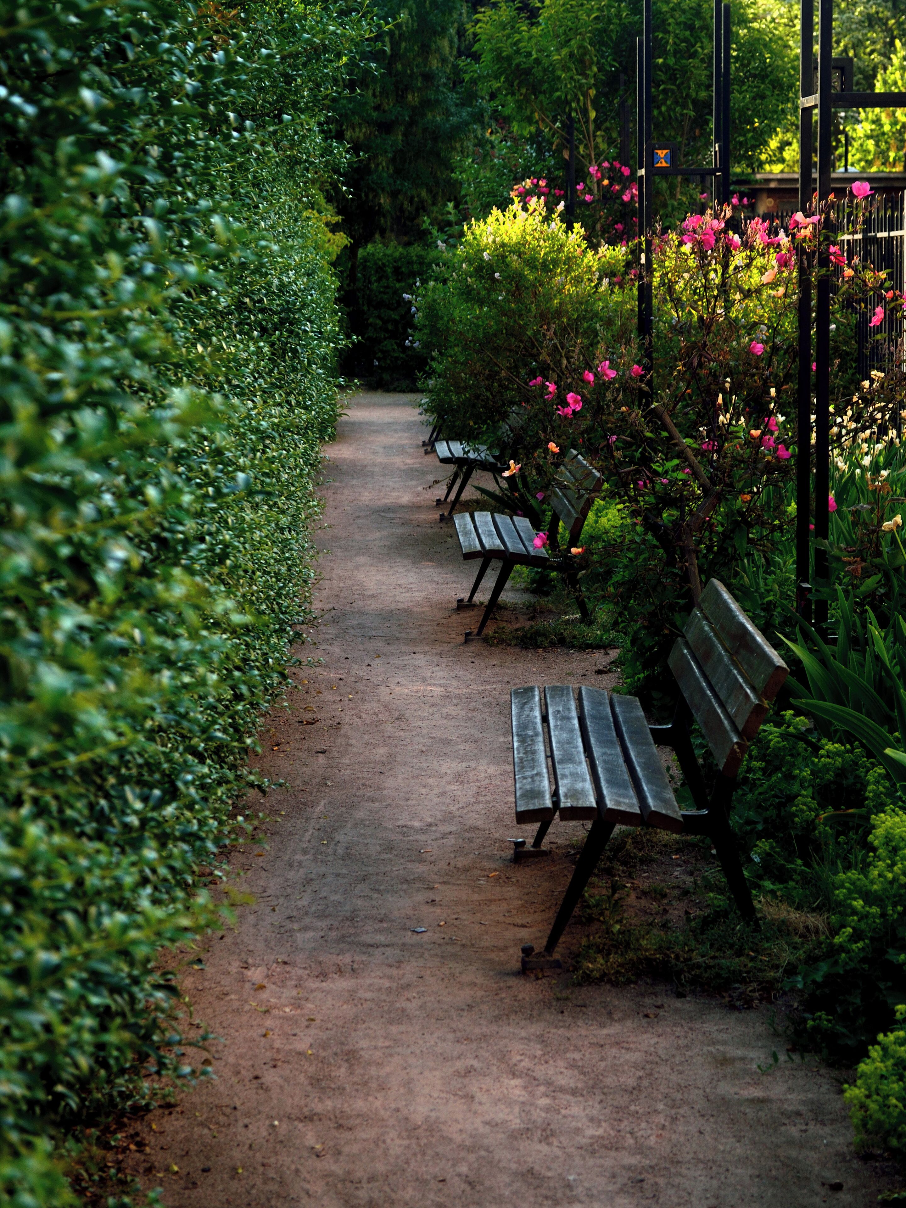 Square Alberto Giacometti