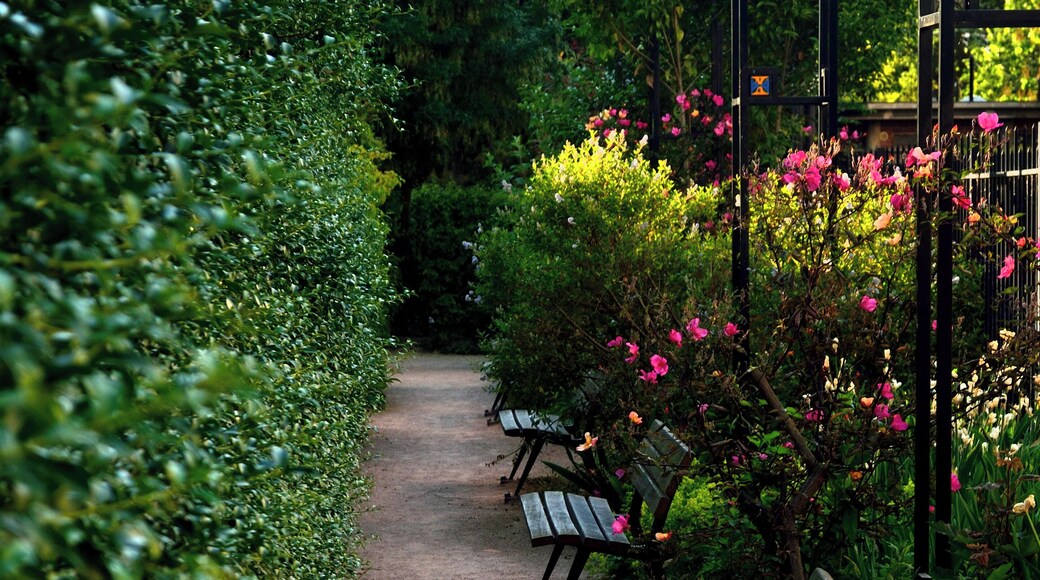 Square Alberto Giacometti