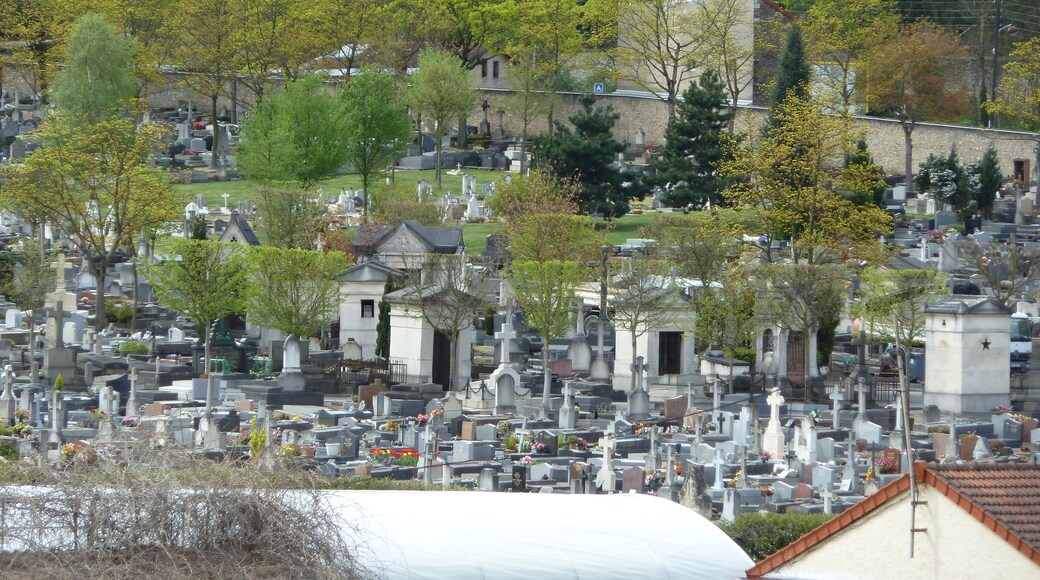Versailles Gonards vue générale au printemps