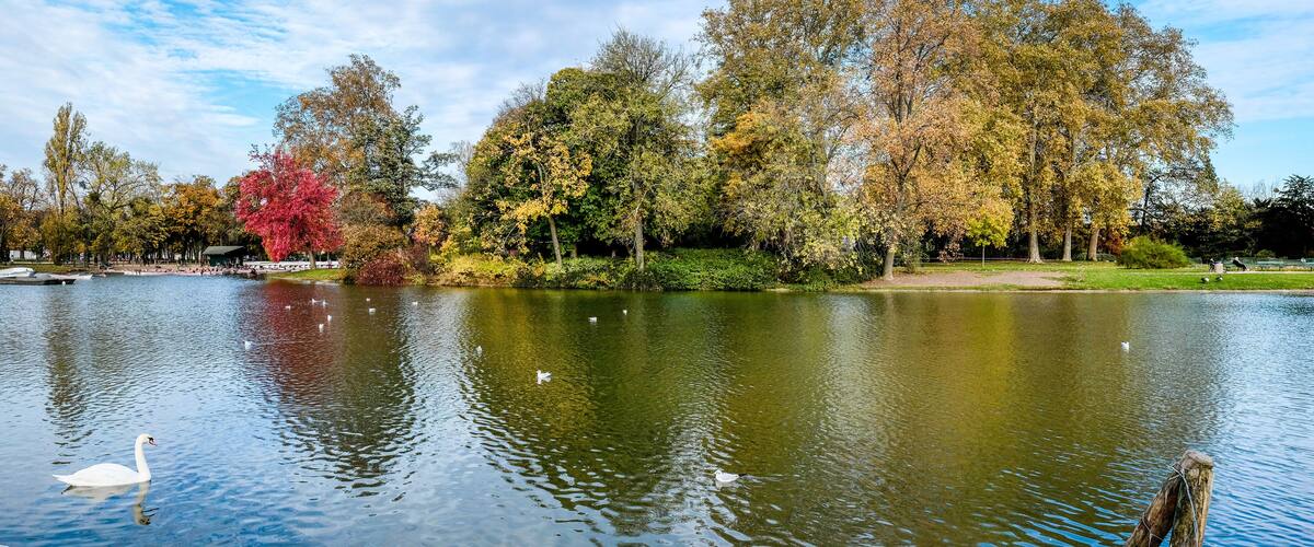 Lac Daumesnil, bois de Vincennes - Paris