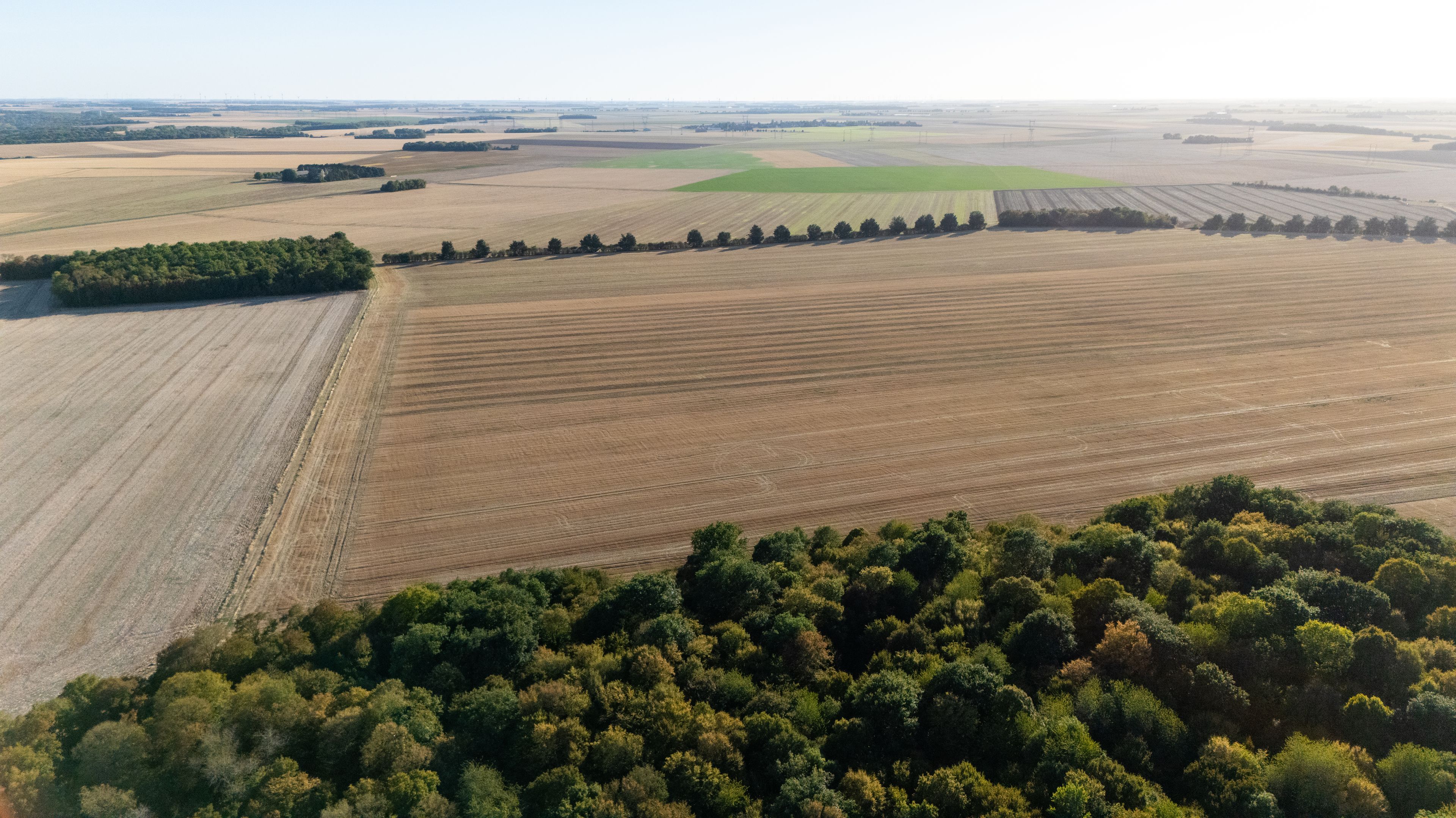 An aerial view of a vast agricultural landscape with fields of varying crops, a dense forest in the foreground, and distant power lines.