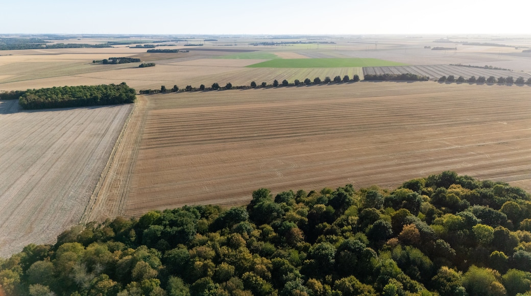 An aerial view of a vast agricultural landscape with fields of varying crops, a dense forest in the foreground, and distant power lines.