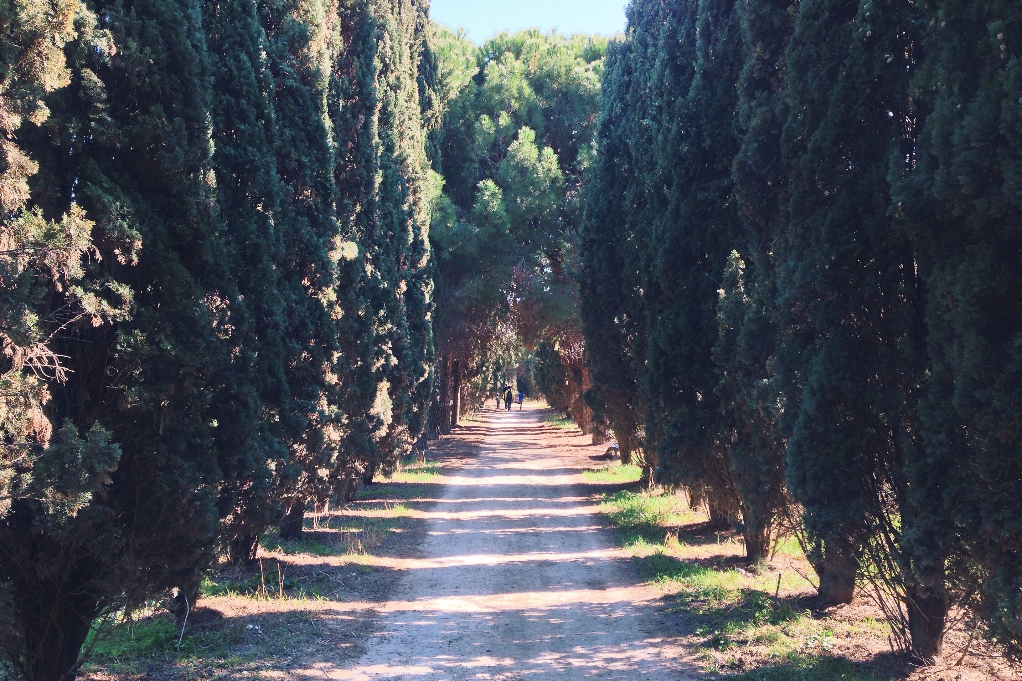 Processed with VSCOcam with k2 preset