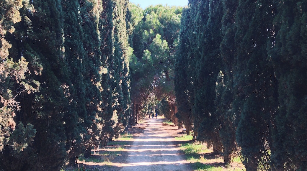 Processed with VSCOcam with k2 preset