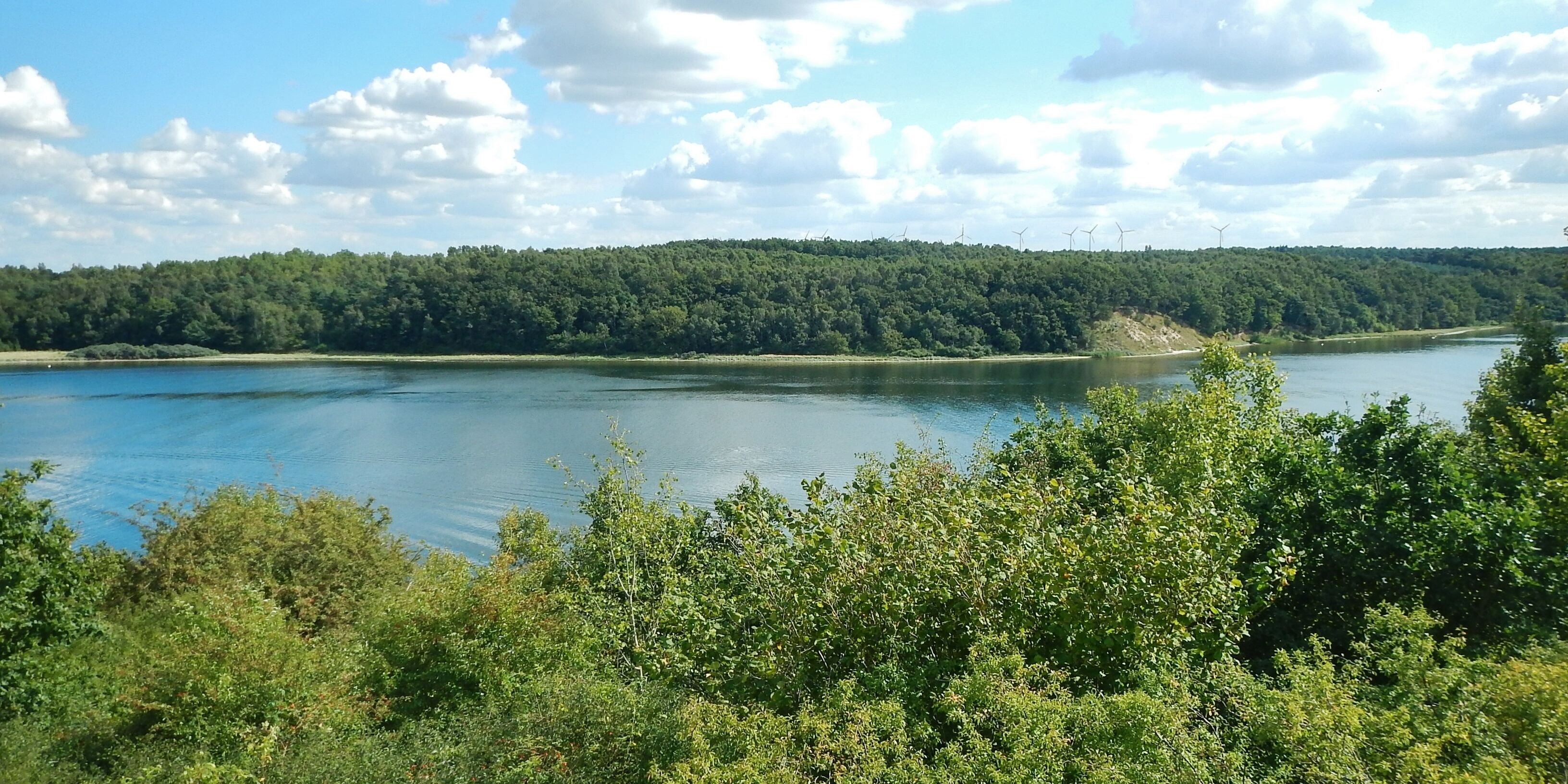 Ausblick vom Aussichtsturm im Naturschutzgebiet Dummersdorfer Ufer auf die Trave