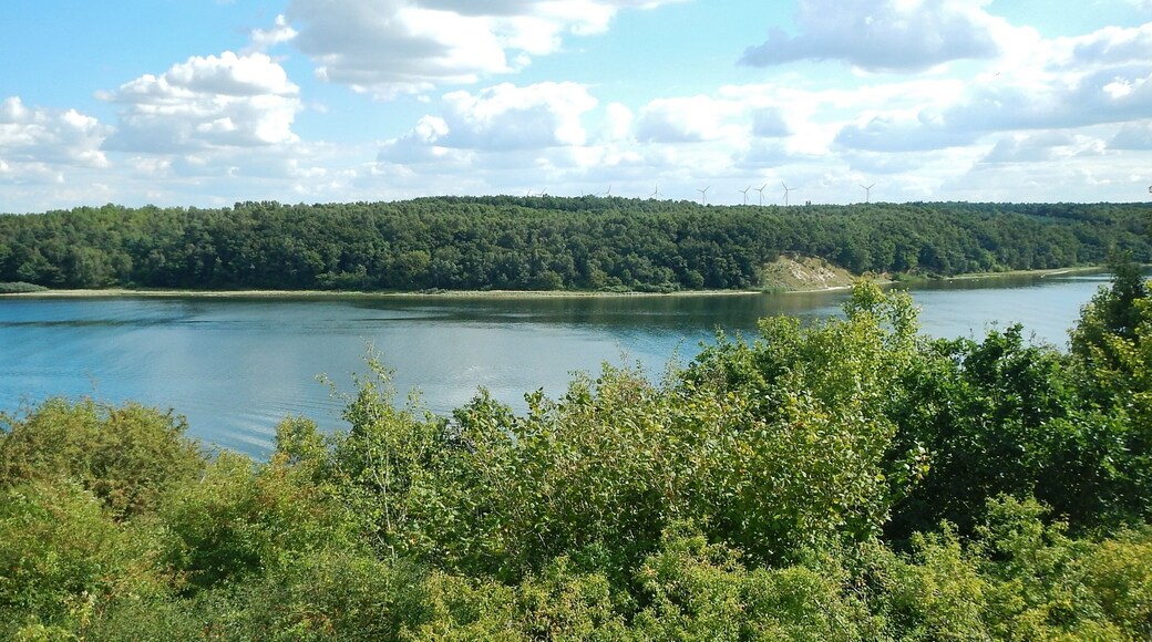 Ausblick vom Aussichtsturm im Naturschutzgebiet Dummersdorfer Ufer auf die Trave