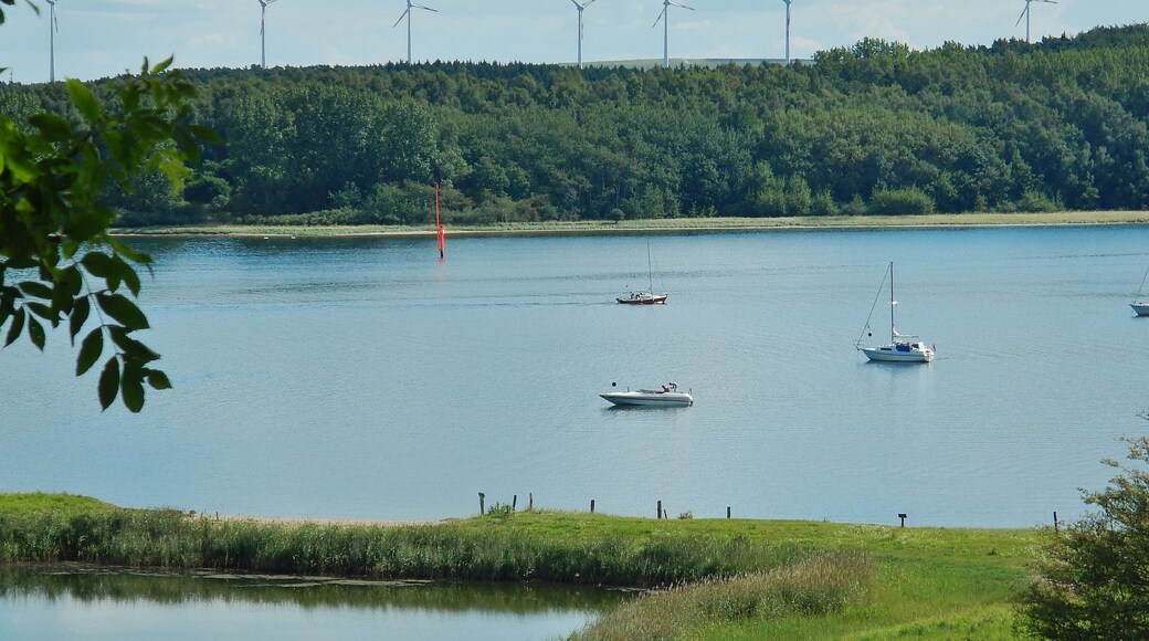 Ausblick vom Naturschutzgebiet Dummersdorfer Ufer auf die Trave