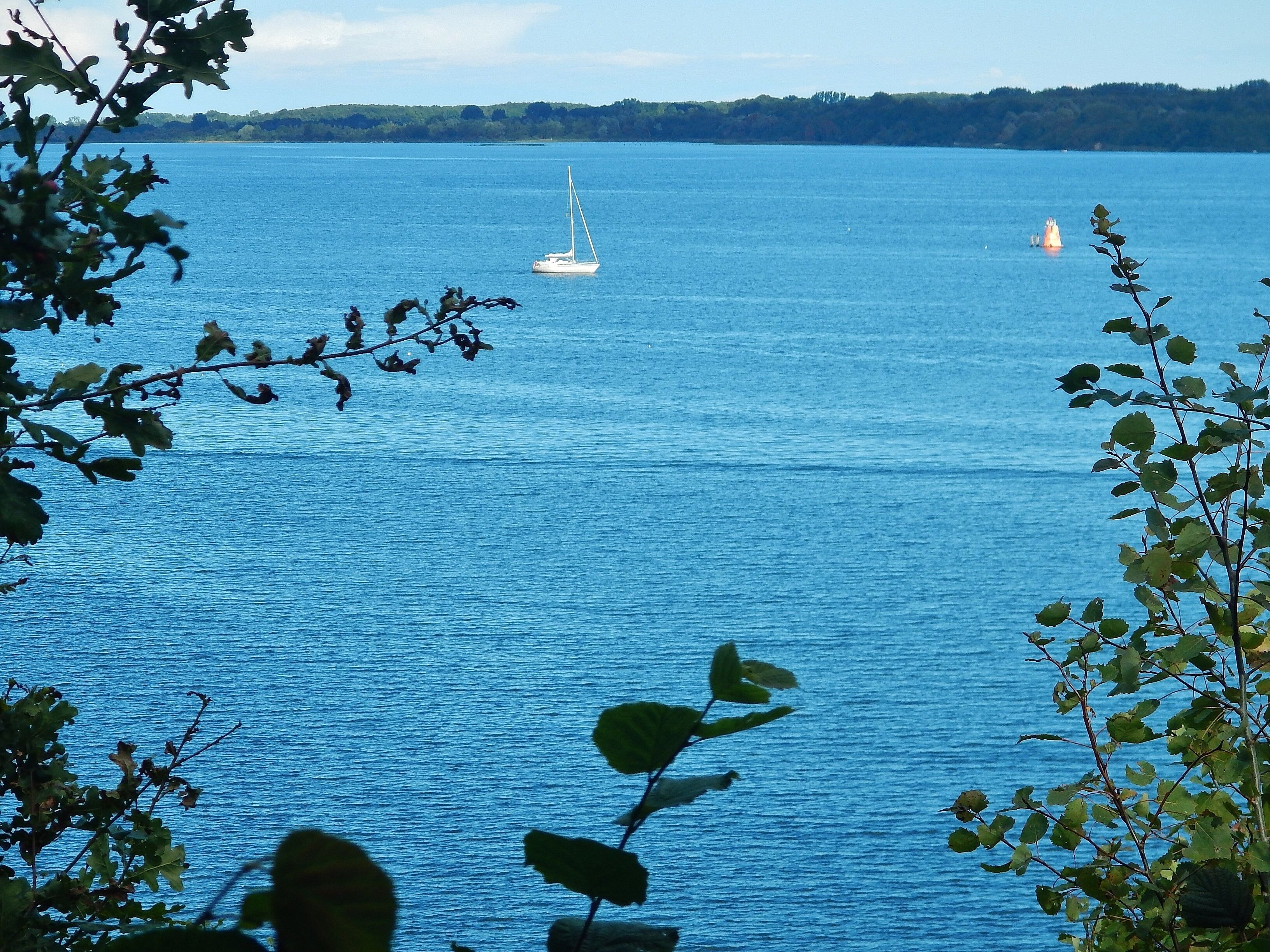 Aussicht vom Naturschutzgebiet Dummersdorfer Ufer auf die Trave