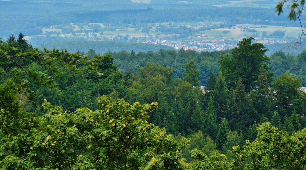 Ausblick Richtung Norden