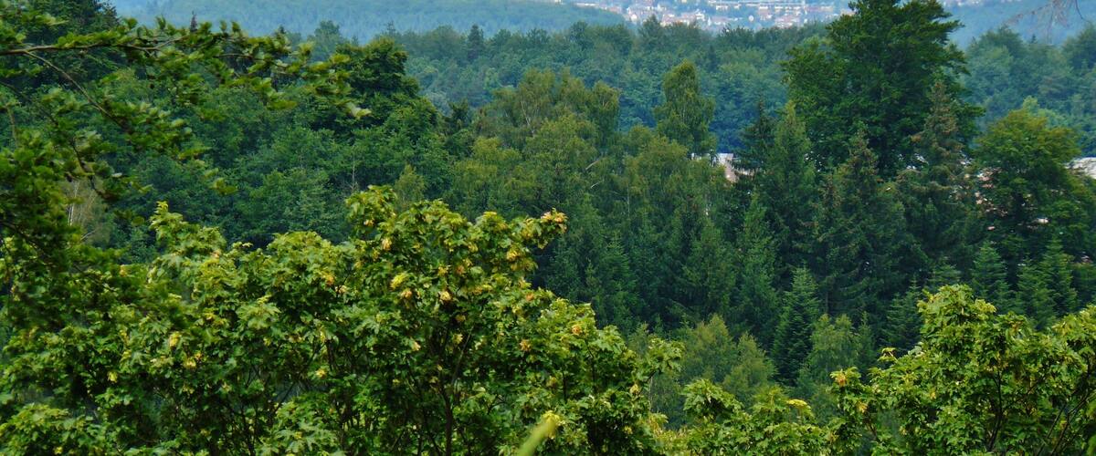 Ausblick Richtung Norden