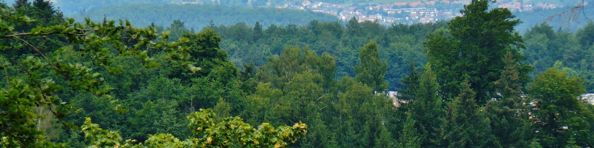 Ausblick Richtung Norden
