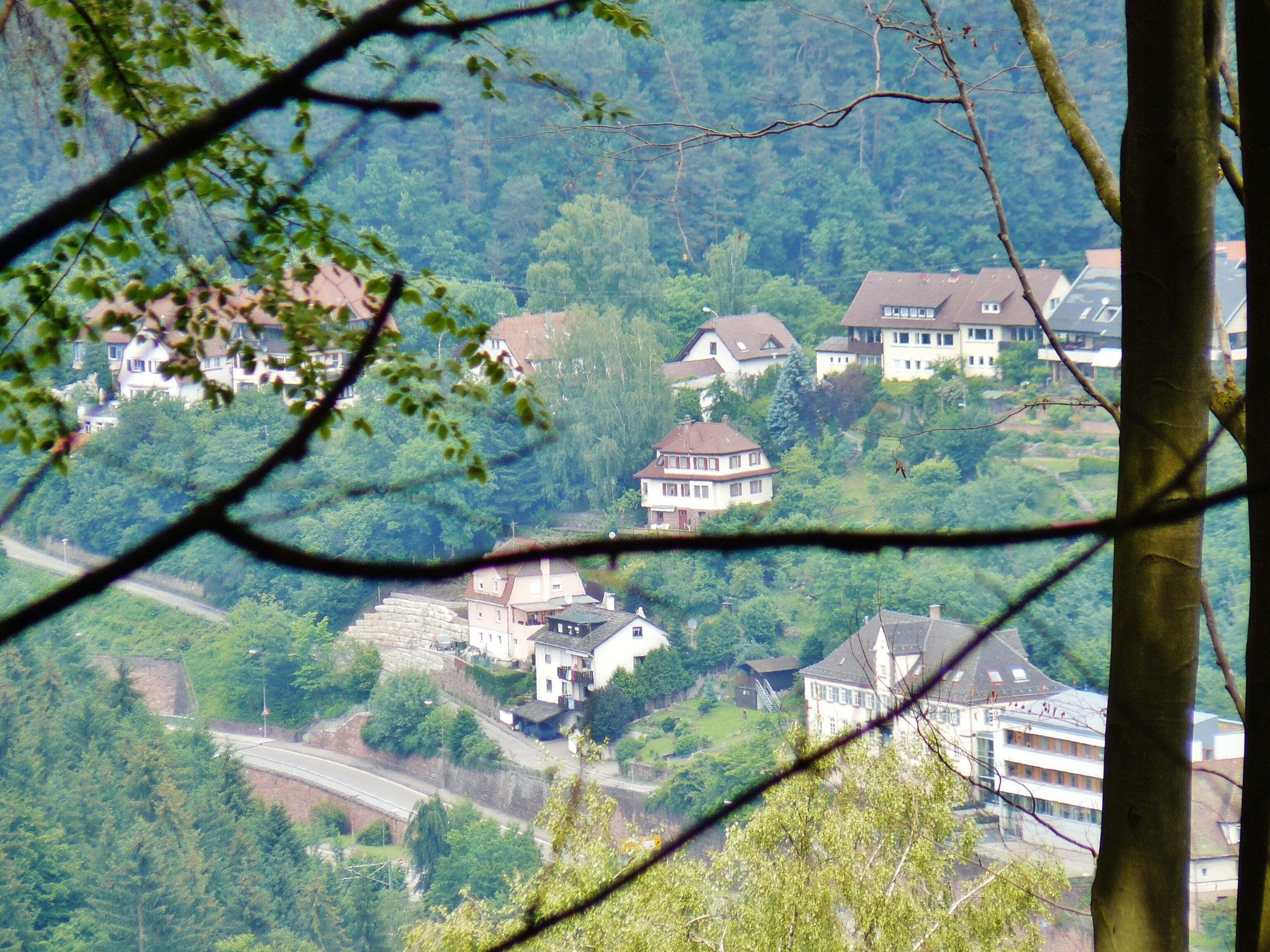 Blick nach Waldrennach (?)