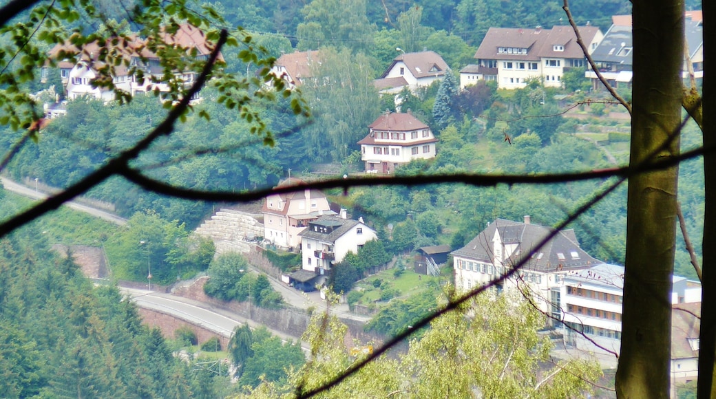 Blick nach Waldrennach (?)